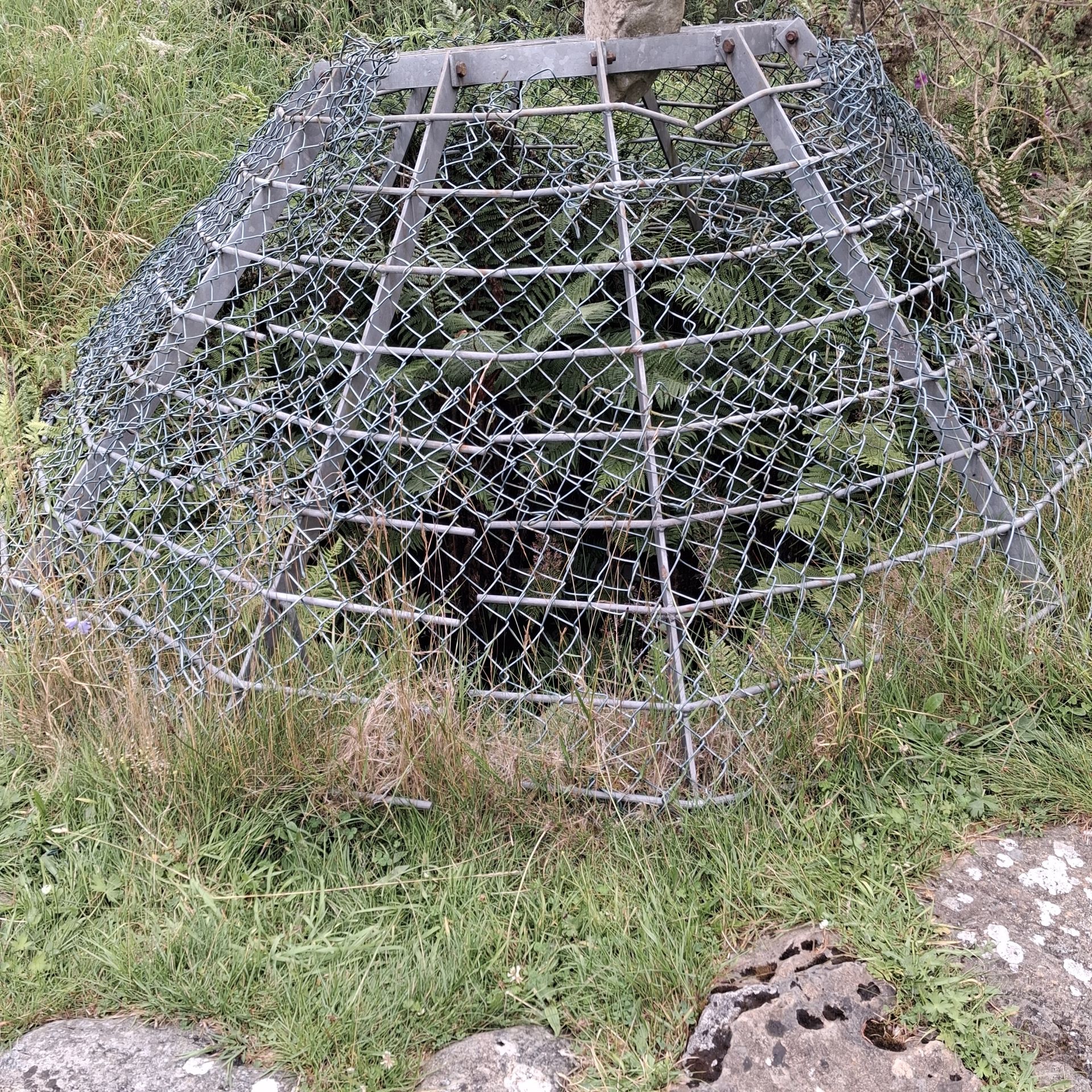 Mine entrance at Lovelady Shield